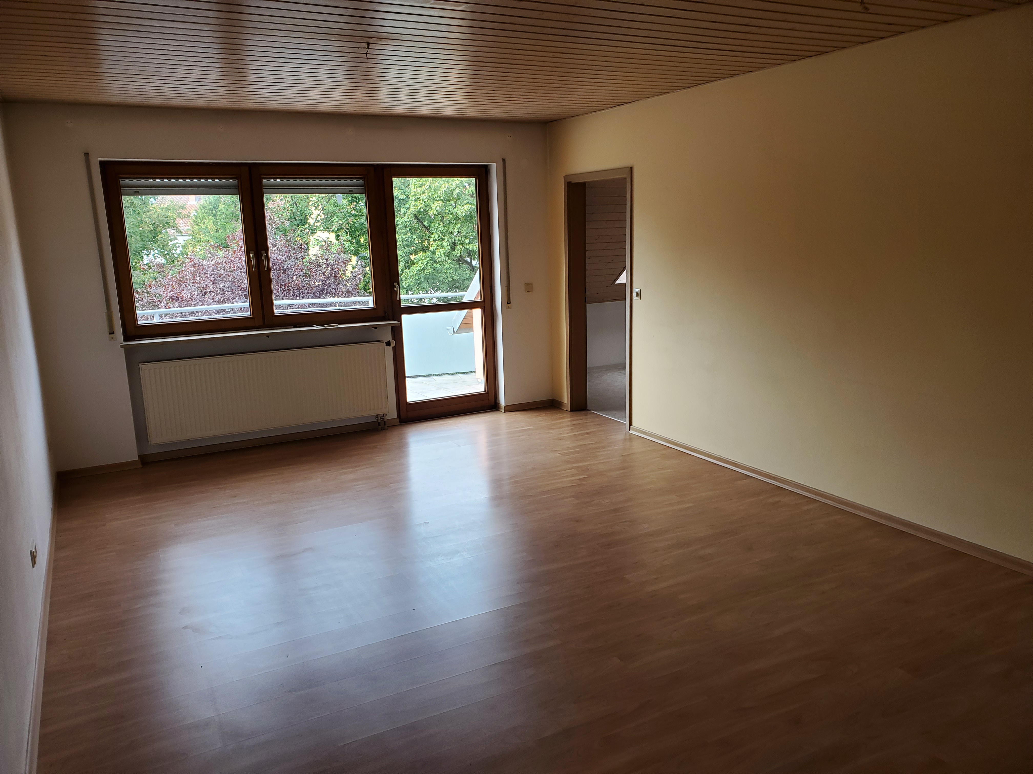 Zimmer1